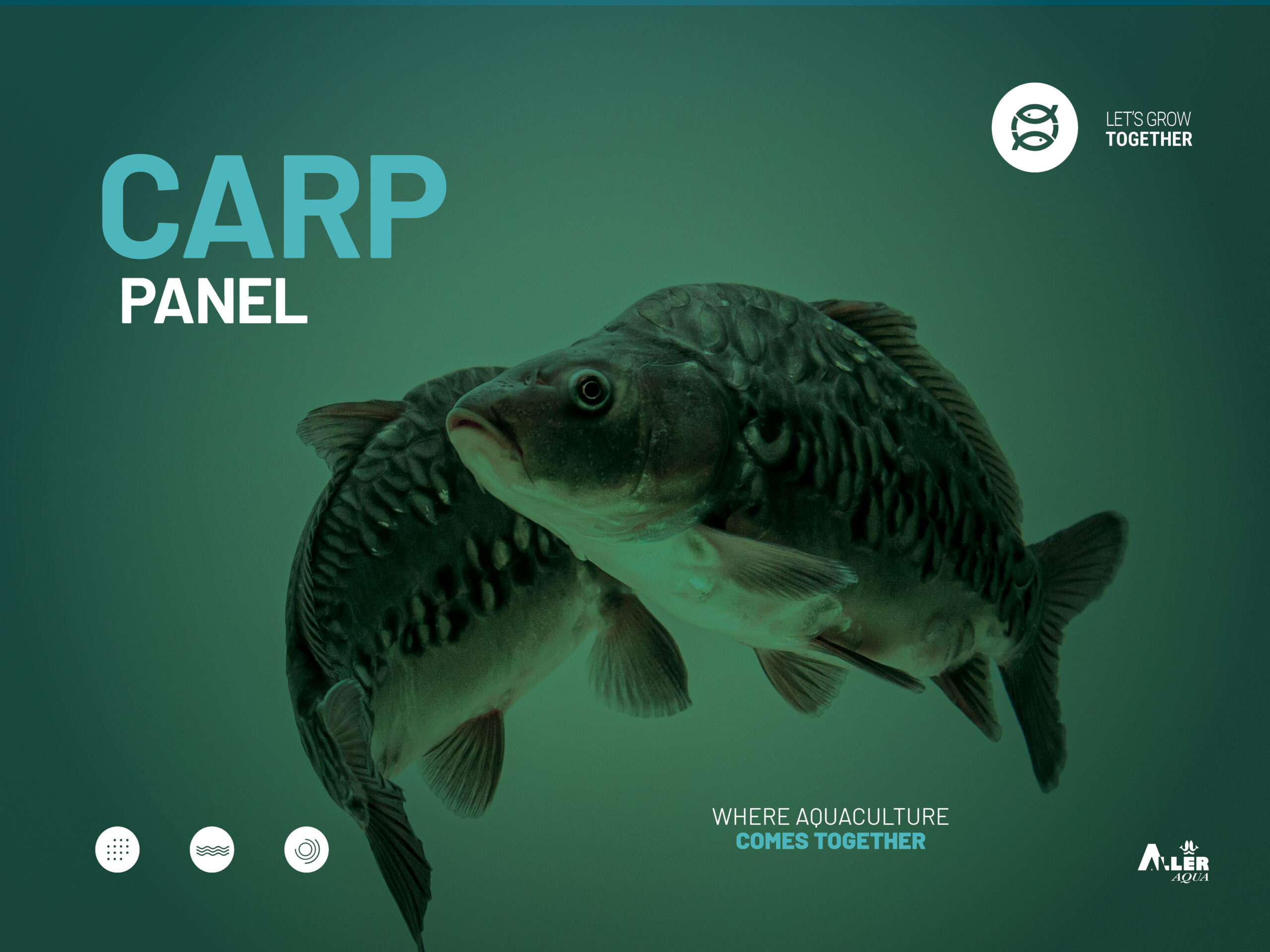 Carp Panel