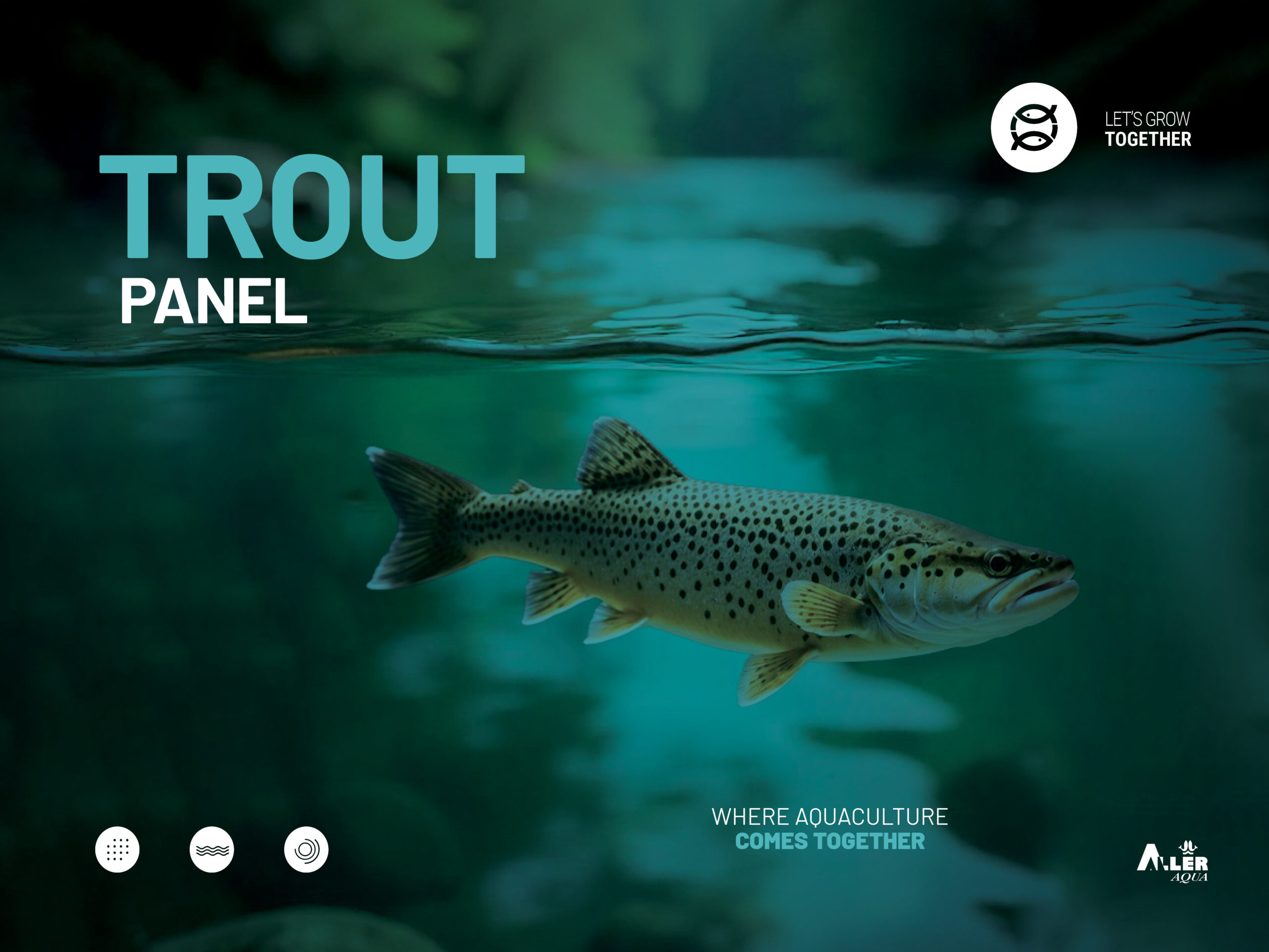 Trout Panel
